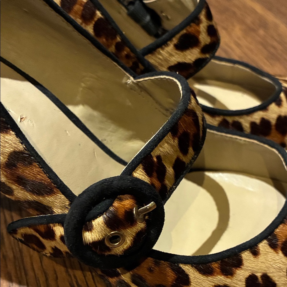 Ann Taylor Leopard Print Heels with Black Strap - Picture 5 of 6